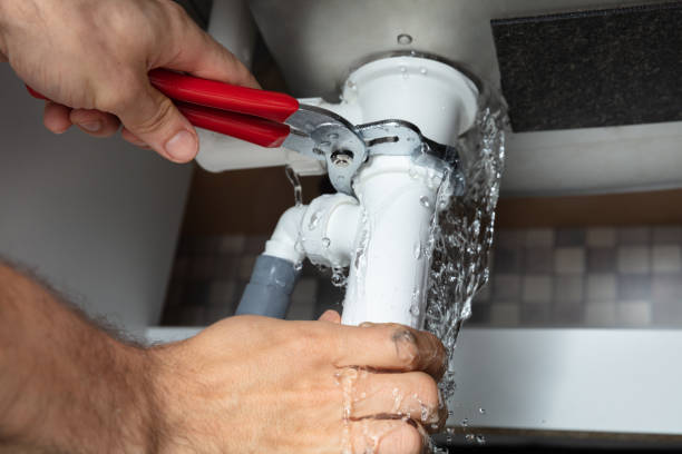Best Flooded house restoration  in South Floral Park, NY