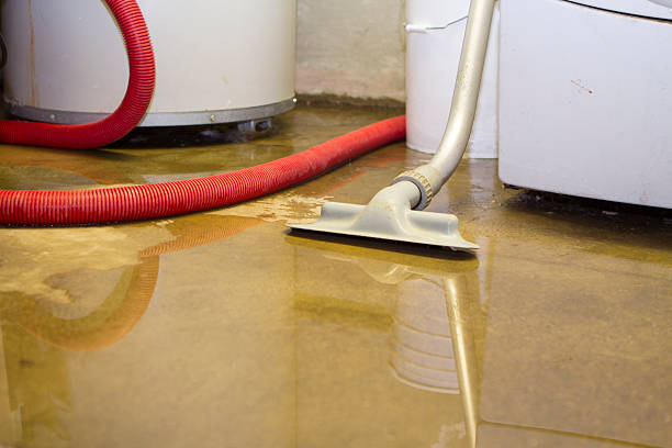  South Floral Park, NY Water damage restoration Pros