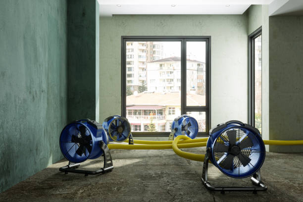 Best Sewage cleanup and water damage restoration  in South Floral Park, NY